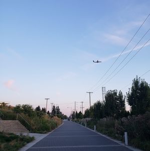 Meet your Posher, Dai